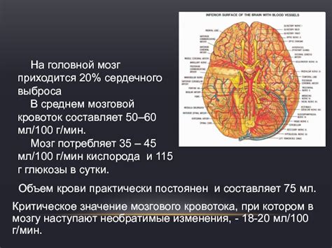 Значение оценки мозгового кровотока