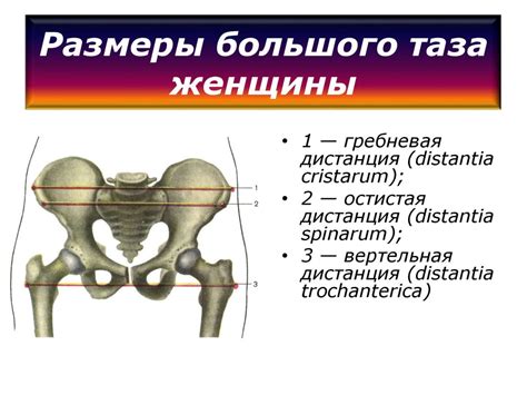 Значение размера таза