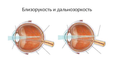 Зрительная система