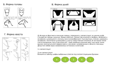 Изготовление самого основания ушей