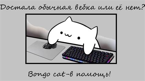 Изменение настроек Bongo Cat вебки