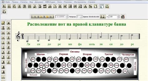 Измените настройку "Рука" на "Правая"