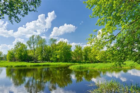 Изображение природы и летнего дня