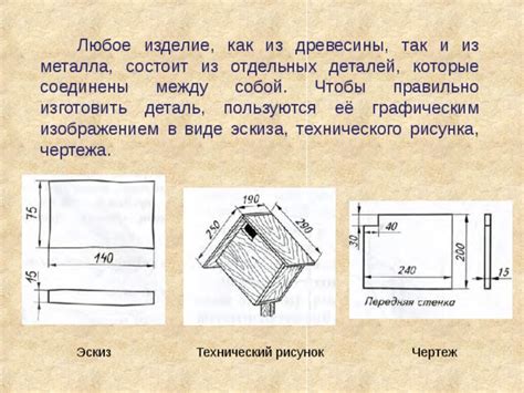 Изображение шерсти и деталей пэта