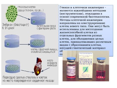 Изучайте новые методы воздействия на генетический материал