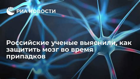 Изучение особенностей работы мозга