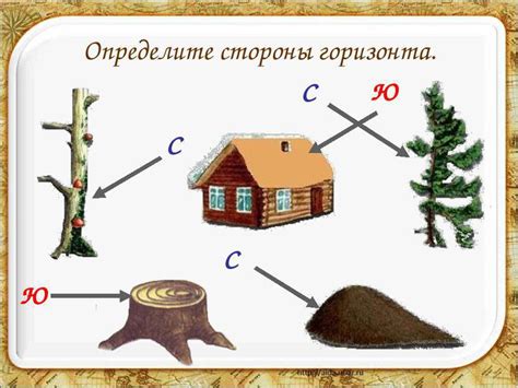 Изучение природных признаков