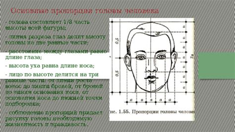 Изучение пропорций глаза, носа и рта