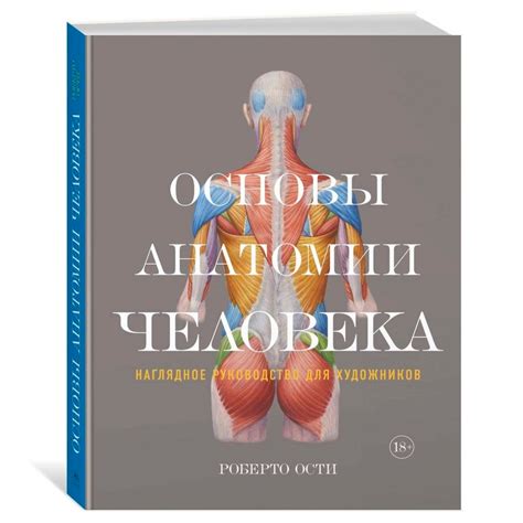 Изучите основы анатомии человека