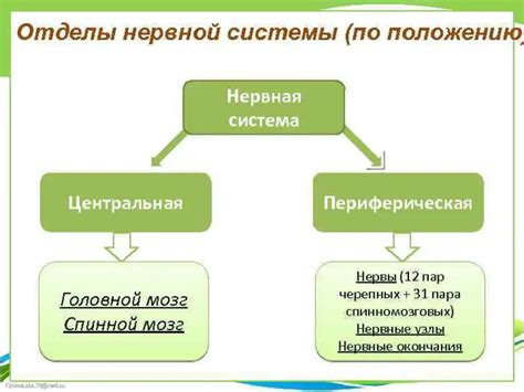 Изучите структуру и особенности буквы