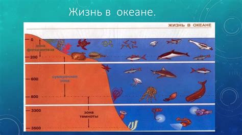 Имена вкрапленные в морские глубины