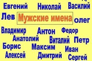 Имя парня Стеллы