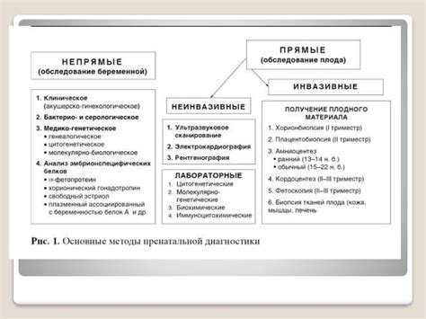 Инвазивные методы определения количества фолликулов