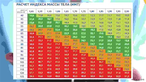 Индекс массы тела