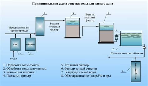 Инновационный метод очищения вишни в одно движение