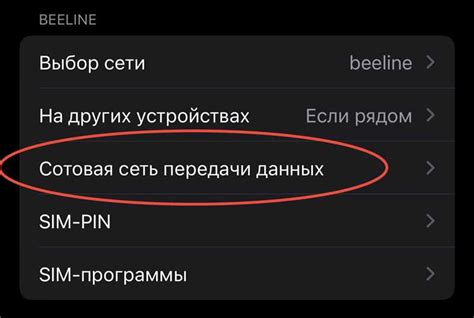 Инструкция по подключению вай-фай эндоскопа к iPhone