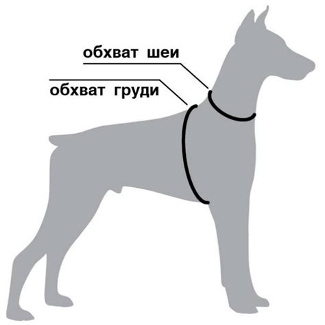 Инструкция по созданию ошейника для собаки