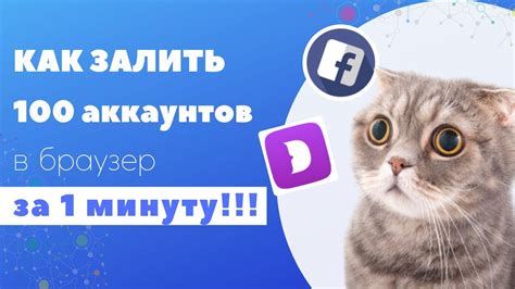 Интеграция сторонних сервисов в Dolphin