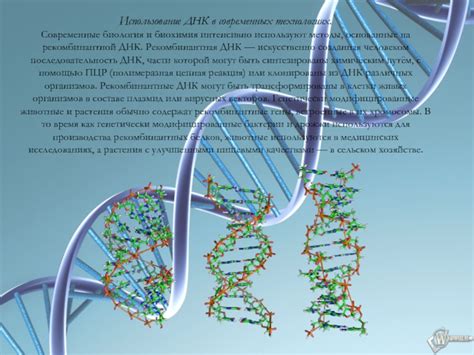 Использование ДНК