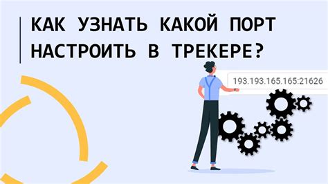 Использование ботов для определения IP адреса