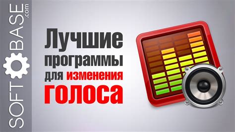 Использование встроенных пресетов для быстрой смены голоса