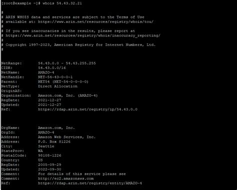Использование команды WHOIS