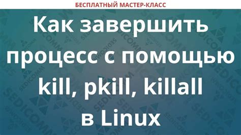 Использование команды kill в Linux