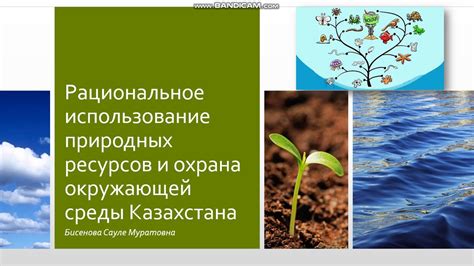 Использование природных растворителей