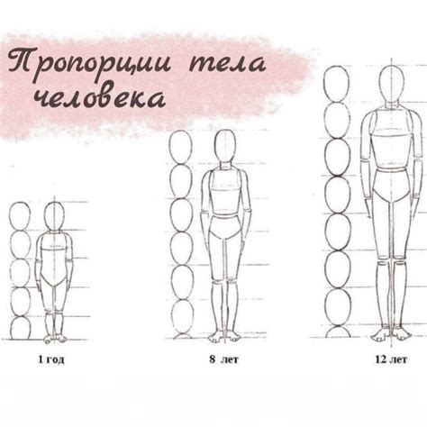 Использование пропорций в моделировании человека