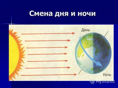 Использование растений для определения смены дня и ночи