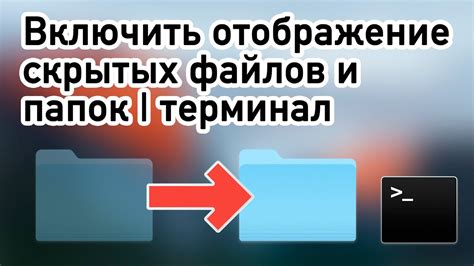 Использование специализированных приложений для поиска скрытых файлов