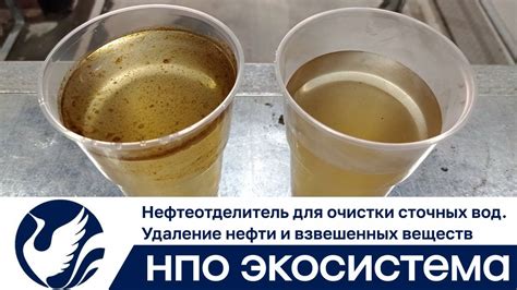 Использование химических веществ для очистки морских вод от нефти