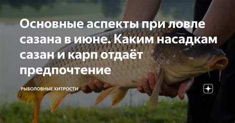 Использование чешуи сазана в кулинарии