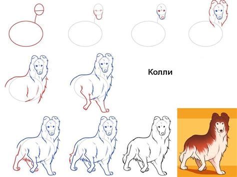 Используемые материалы для рисования собаки