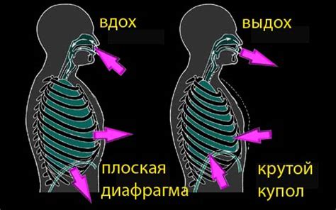 Используйте правильное диафрагмальное дыхание