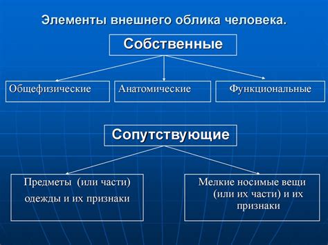 Исследование внешнего облика