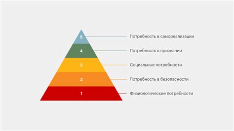 Исследуйте рынок и потребности