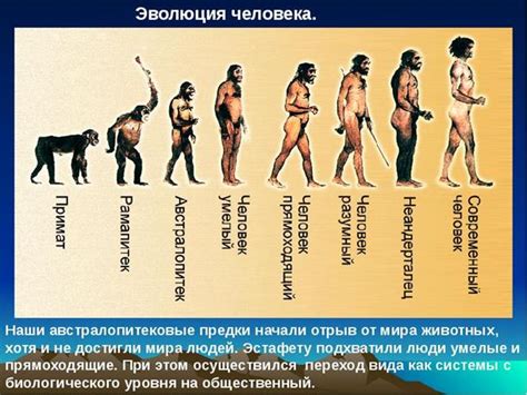 Исторический фон развития человечества