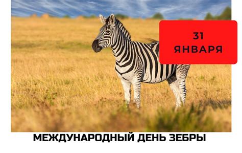 История использования имени зебры