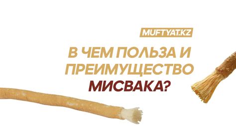 История использования мисвака