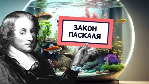 История и значение шара Паскаля