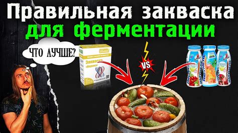 Какая закваска выбрать?