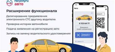 Какая информация доступна по каждому модулю