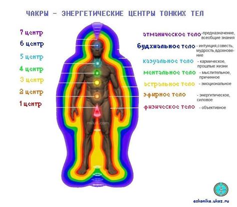 Какая роль энергетического поля в жизни человека?