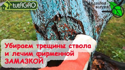 Какие методы восстановления коры являются эффективными?