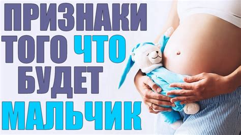 Какие признаки помогают определить пол?