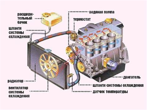 Какие части включены в систему охлаждения автомобиля?