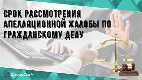 Каковы возможные результаты рассмотрения апелляционной жалобы в гражданском деле?