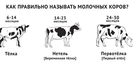 Какое преимущество дает использование молока?