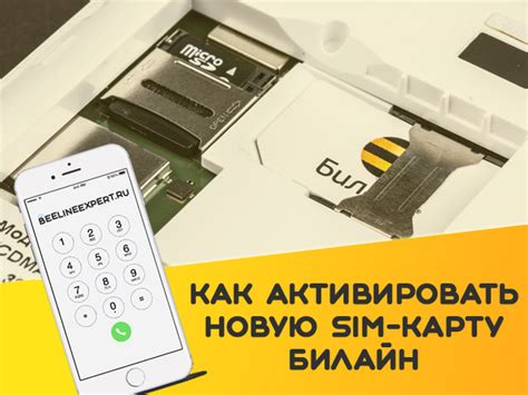 Как активировать SIM-карту в Билайн: полезные советы